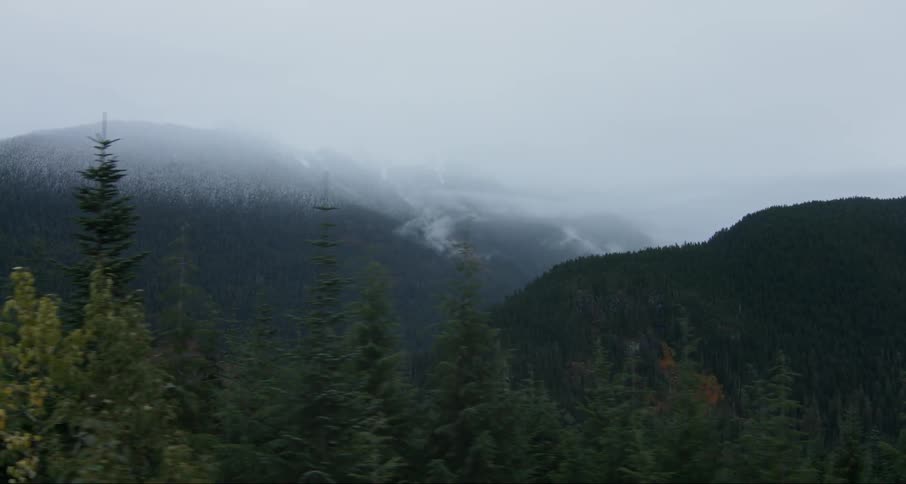 Trees cover the mountain landscape