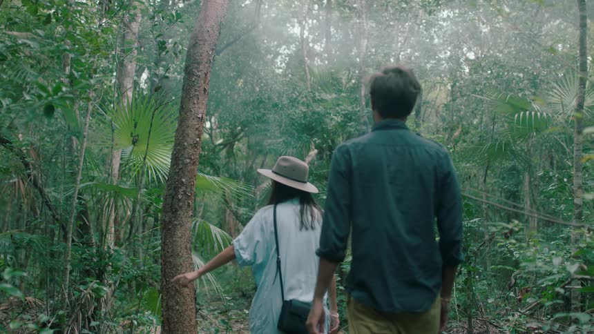 Two people are hiking in the forest