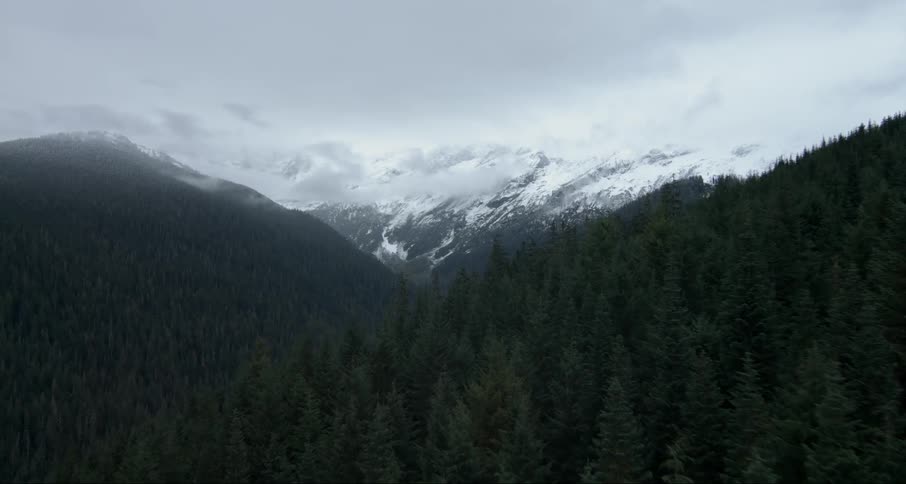 Trees cover the mountainous landscape