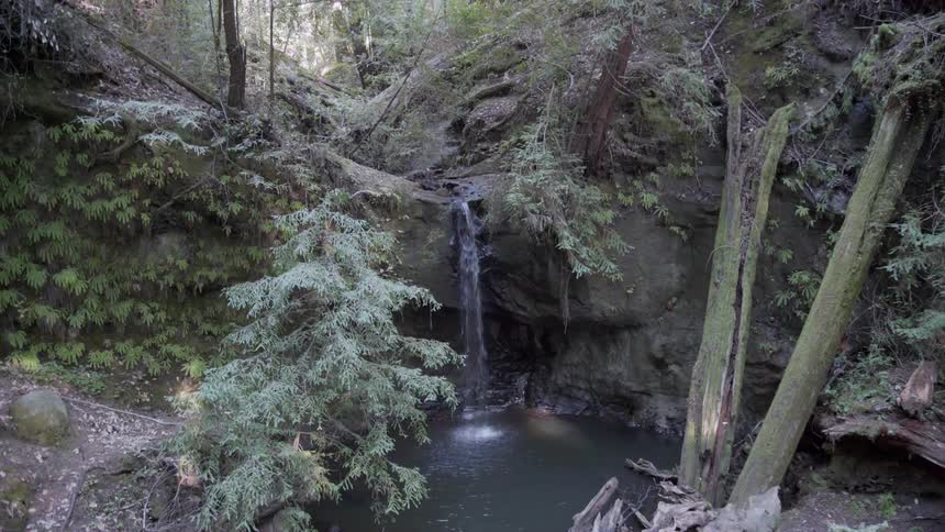 The small waterfall fills the spring below