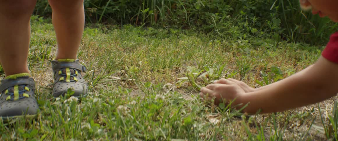 Boys try to catch bugs in the grass