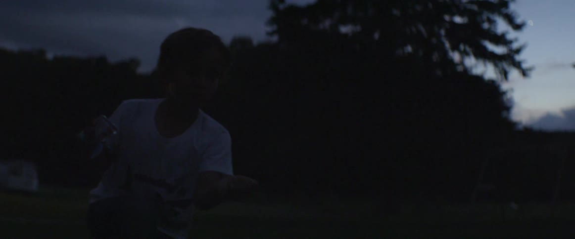 A boy is trying to catch a firefly outside at dusk