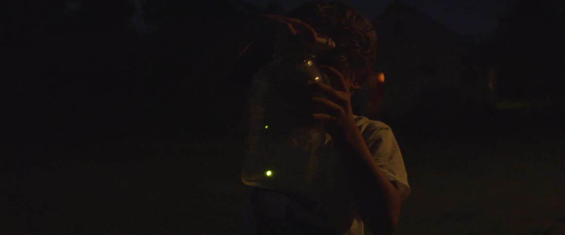 A boy is catching fireflies at night