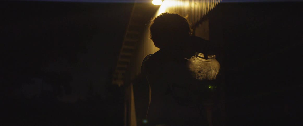 A boy is looking at the fireflies in the jar at night
