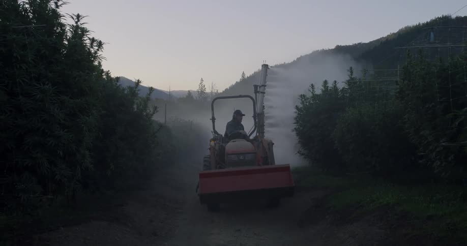 A farmer sprays his crops
