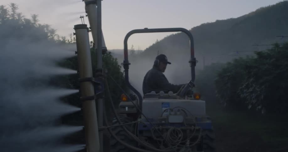 A man looks side to side as he drives spraying the crops