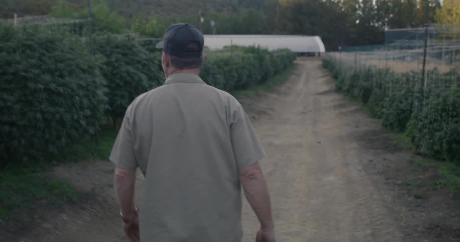 A man walks down the trail on a farm