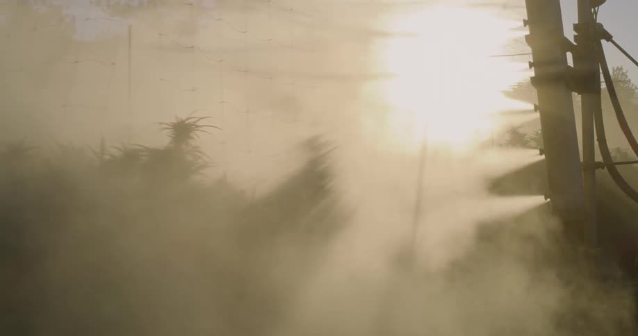 The vehicle is spraying over the crops of the farm