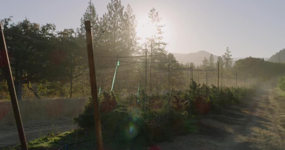 The farm is calm as the sun sets