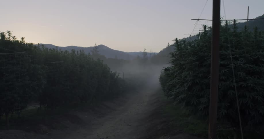 The sun is almost set on this large farm