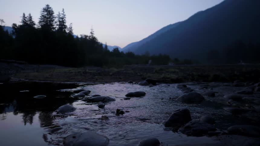 Water flows peacefully down a stream