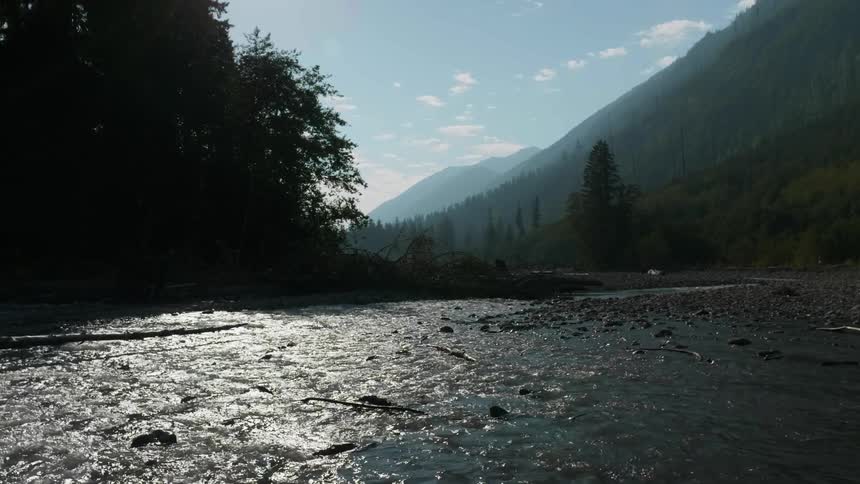 A river flows through a mountain forest