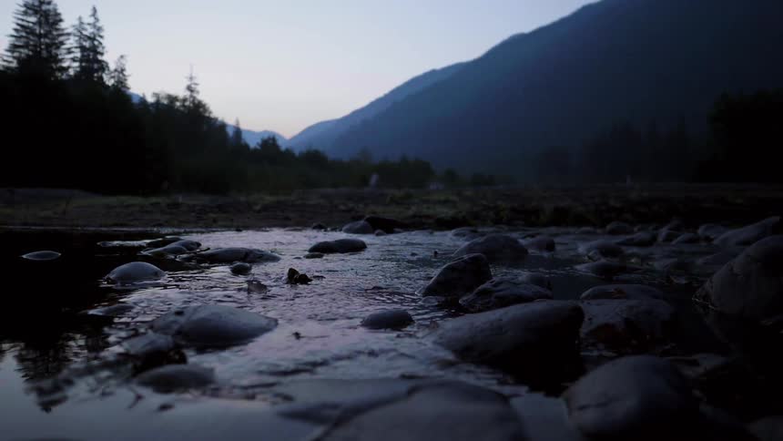 Water flows in a stream with rocks sticking out
