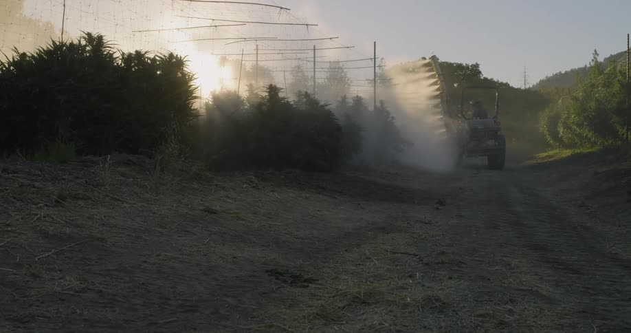 A farm worker is spraying crops from an atv in daylight