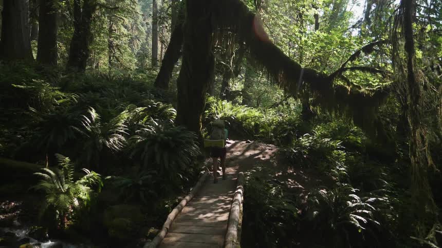 A hiker walks across a small bridge in the woods