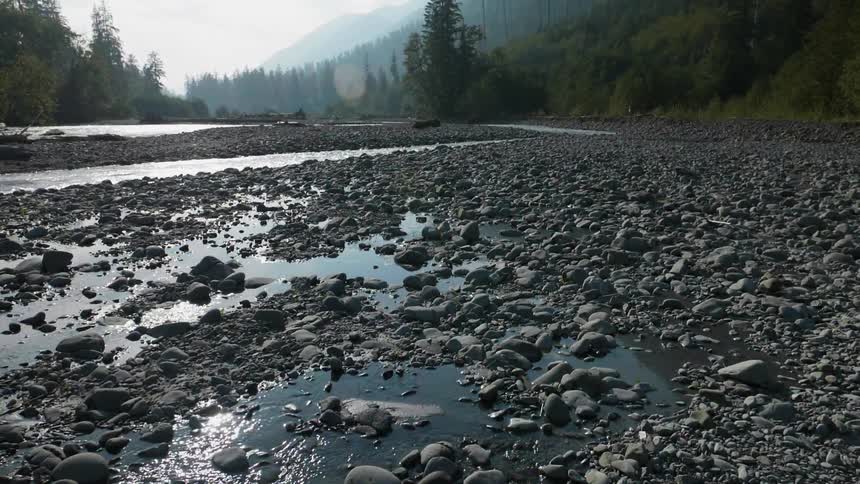 Shallow stream trickling over a rocky area