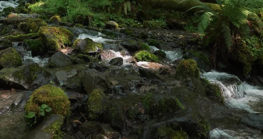 Water flows rapidly down a stream