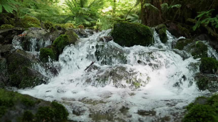 A stream flows over rocks in a forest