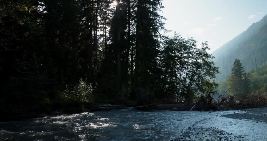 A river is rushing past a stand of trees in a valley on a sunny day