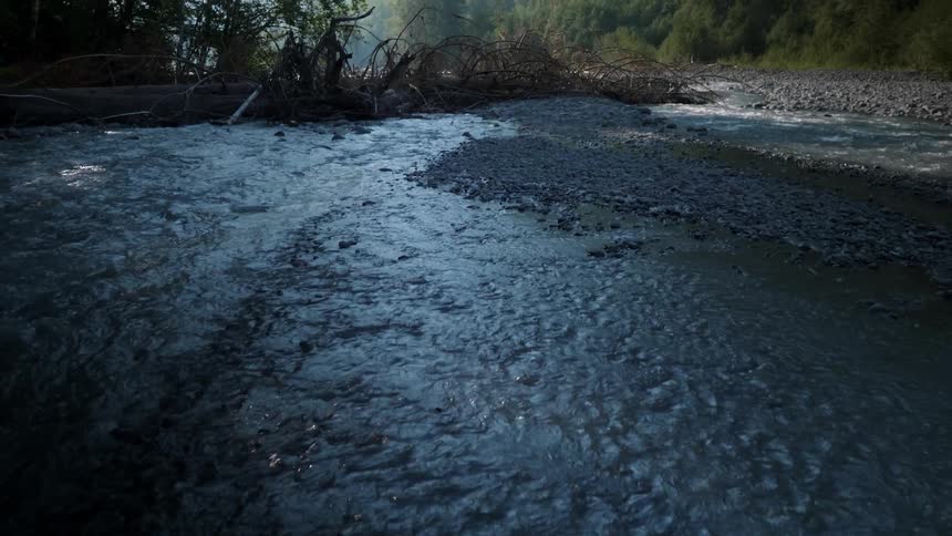 A river flows through a forest