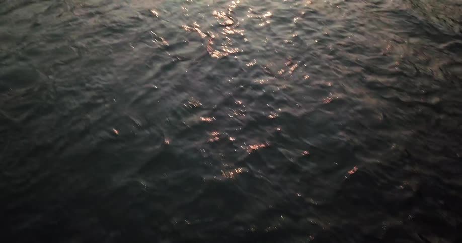 A river is flowing through a forest at dawn