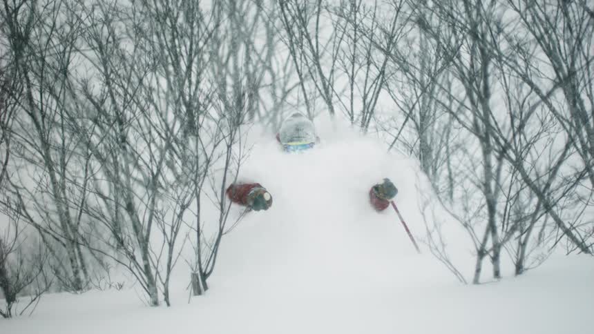 A person skiing through the snow surrounded by bare trees