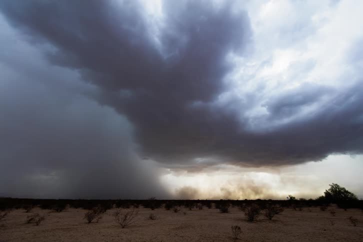 Dark clouds moving over a sandy area with trees