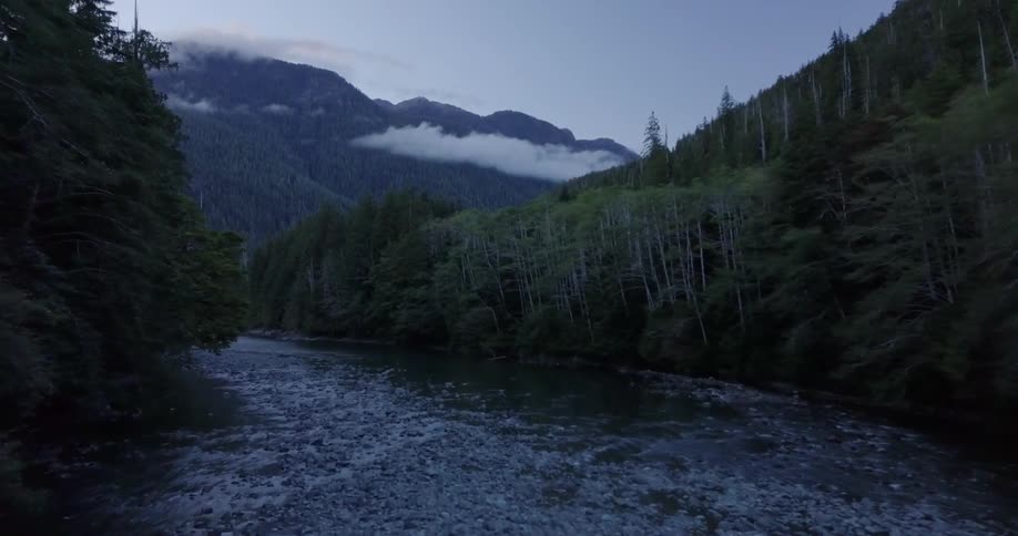 A river is trickling through a wooded mountain valley at dawn