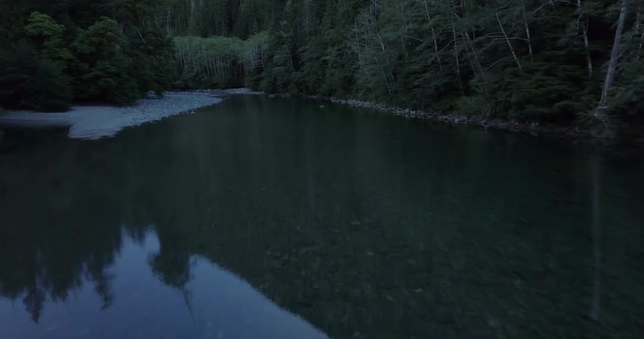 Trees are reflected in the river water