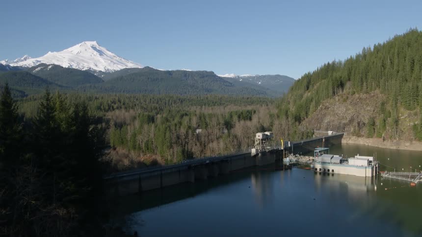 Revealing a mountain valley from behind a stand of pine trees along a hydroelectric dam reservoir