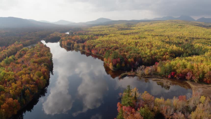 Water flows through red and yellow trees