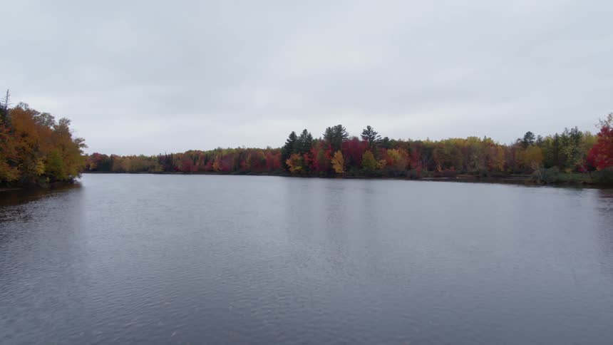 A river flows through a forest with fall foliage