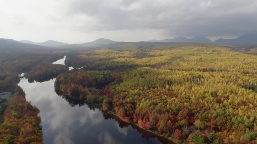 A river is running through a forest under cloudy skies