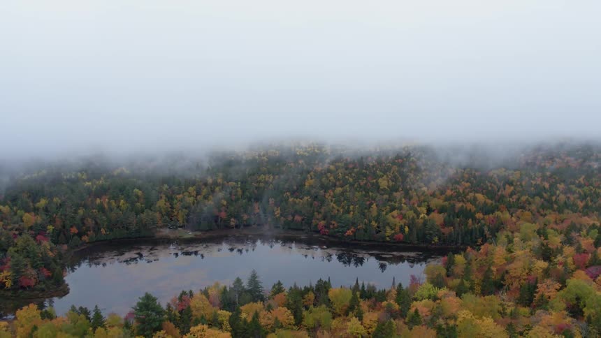 A river flows through a forest with fall foliage