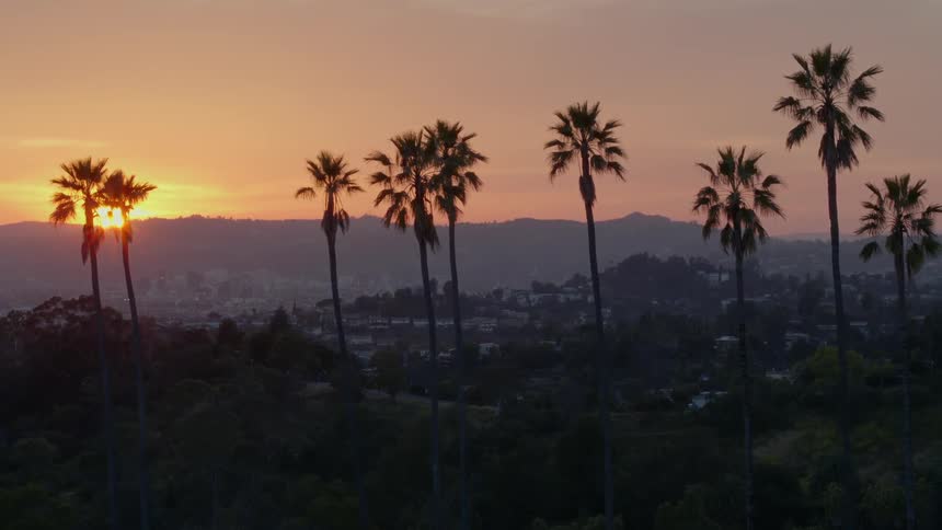 The sun sets behind tall palm trees