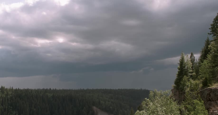 Storm clouds are moving across a forest during the day