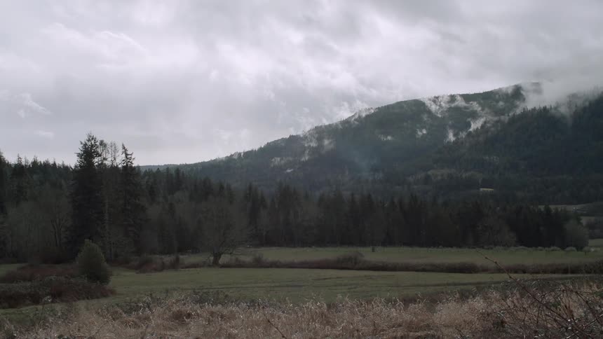 The long field leads to a forest and mountain