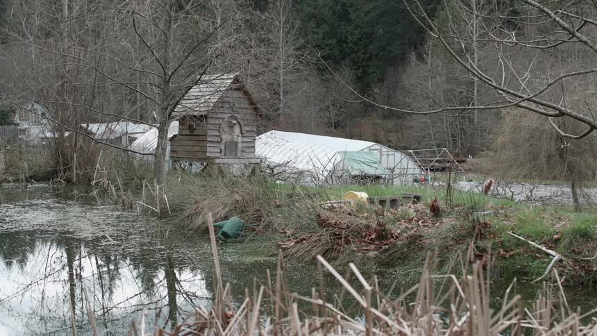 Greenhouse and a small wooden shed near a murky pond