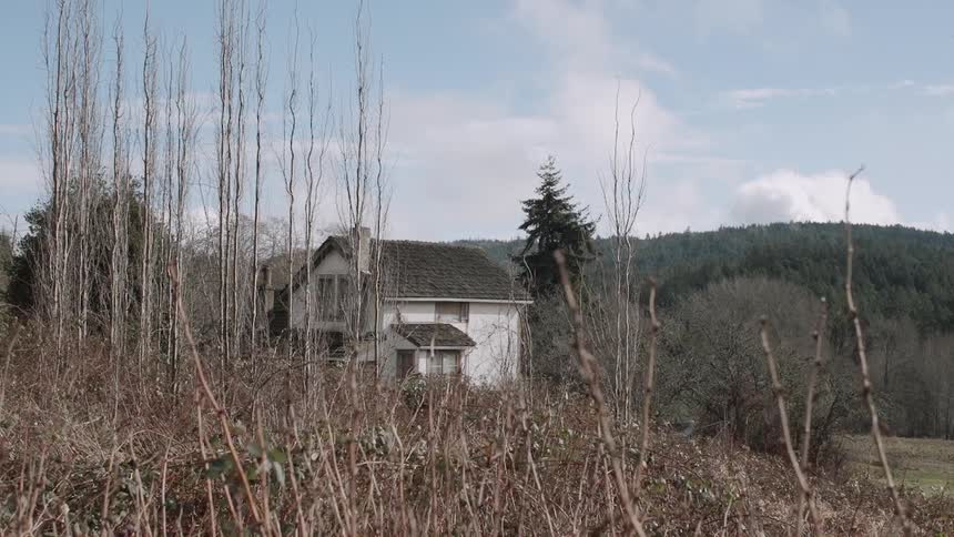 A white house in overgrown grass and trees