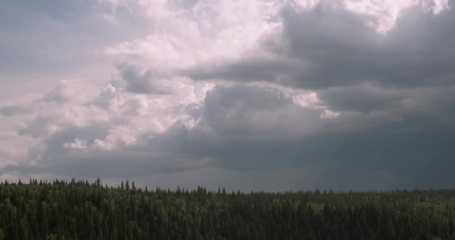 Storm clouds are hanging over a forest in daylight