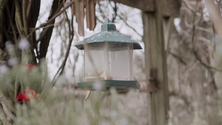 The birds fly around the feeder on a cloudy day
