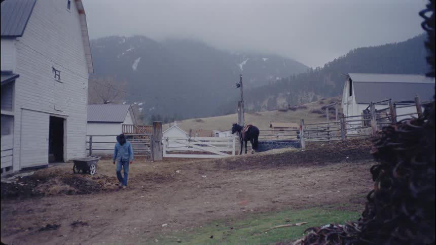 Man wearing a cowboy hat walks away from a horse