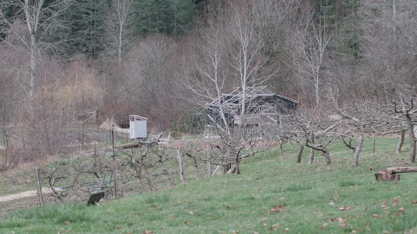 Bare trees cover a rural landscape