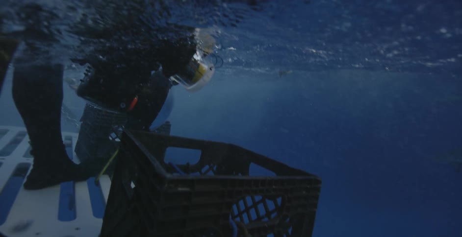 The diver is pointing the camera into the water from above