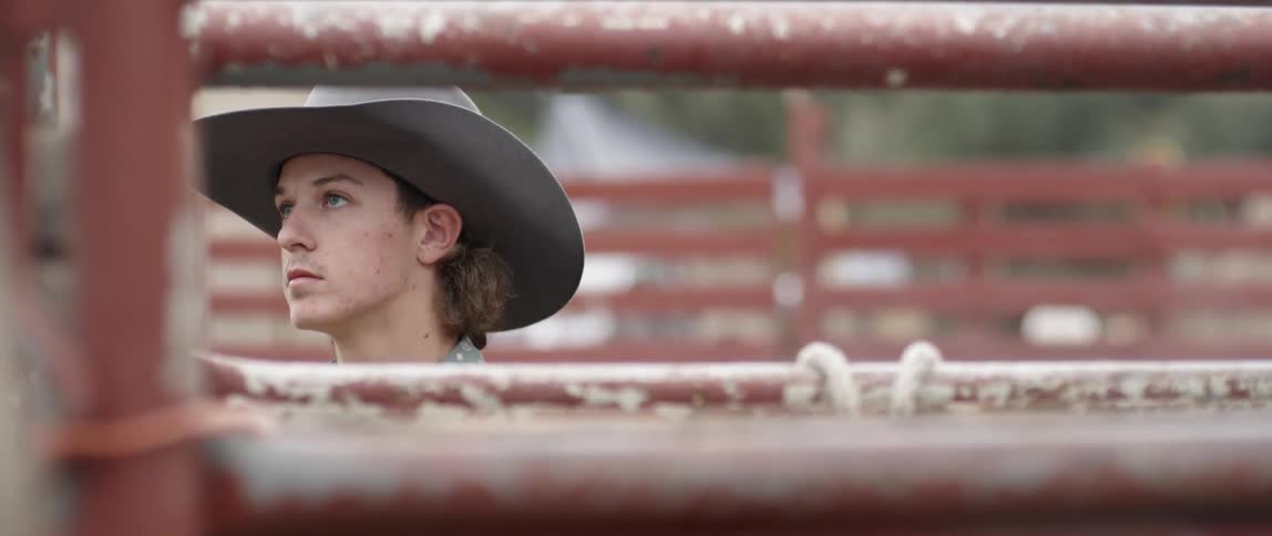A cowboy walks around in a paddock