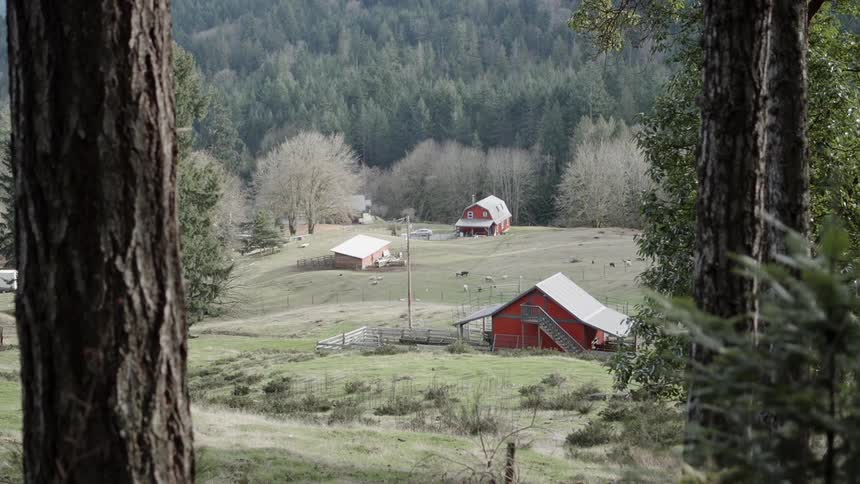 Red barns sit on a farm near the forest