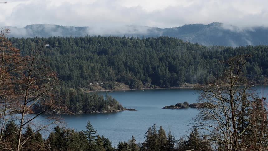 White clouds and haze pass over a forest and lake
