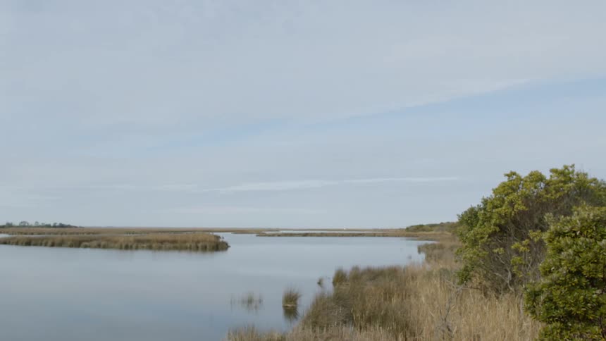 Small island in the middle of a lake on a cloudy day