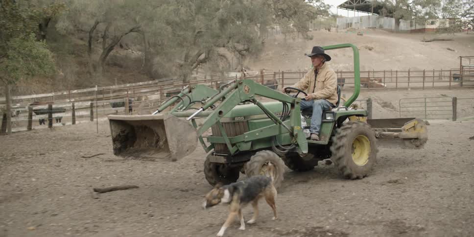 The dog follows man the man driving the farm vehicle