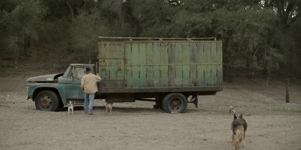 A man leads his dogs towards a truck